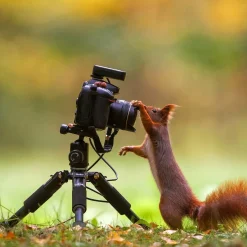 Rollei C-Serie|Tisch- & Ministative-Compact Traveler Mini M-1 Stativ schwarz