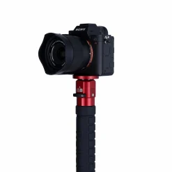 Rollei Easy Traveler|Einbeinstative-Easy Traveler Carbon Monopod