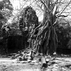 Rollei Analoge Filme-RETRO Schwarzweiß-Negativfilm | 35 mm & Rollfilm | ISO 80 / 400