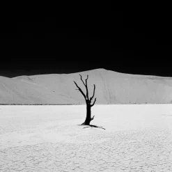 Rollei Analoge Filme-RPX Schwarzweiß-Negativfilm | 35 mm & Rollfilm | ISO 25 / 100 / 400