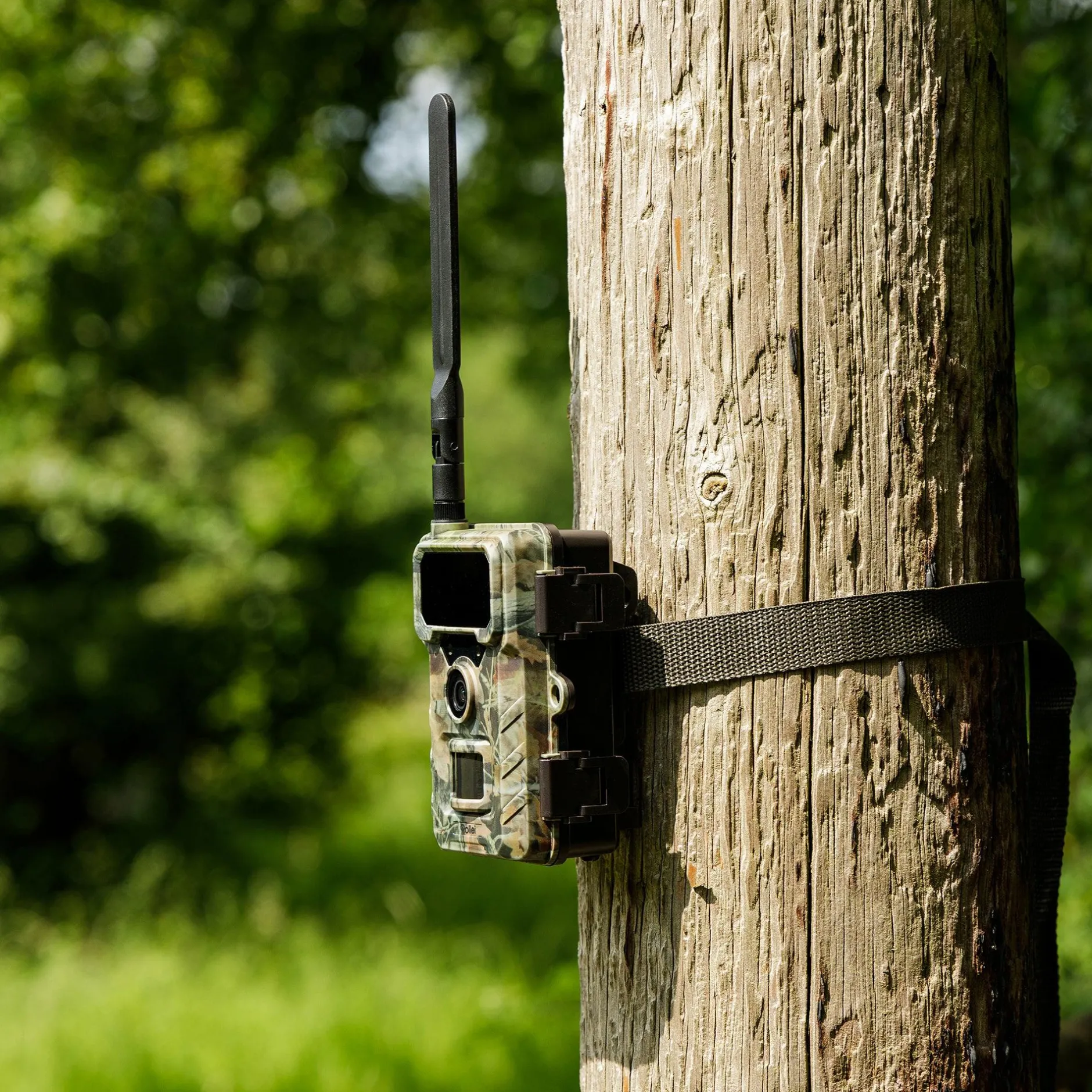 Rollei Wildkameras|Wildkameras-Wildkamera 4G SIMConnect